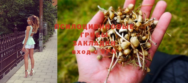мескалин Белокуриха
