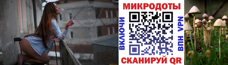 hydra Плёс Псилоцибиновые грибы мухоморы